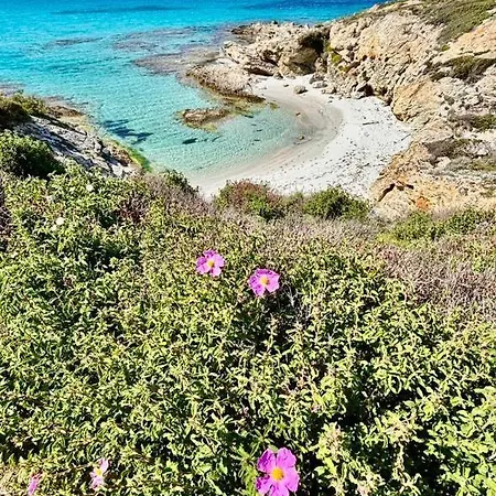 Vistamare Locations Avec Piscine Florent דירה *