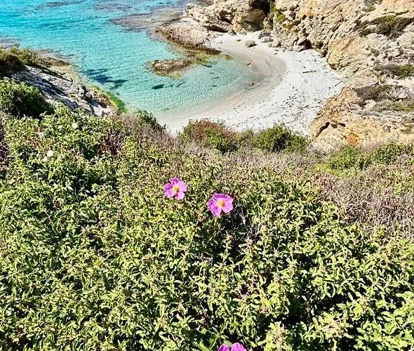 Vistamare Locations Avec Piscine Florent アパート *