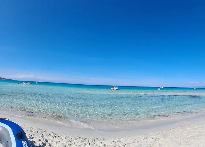 Vistamare Locations Avec Piscine Florent サン・フロラン